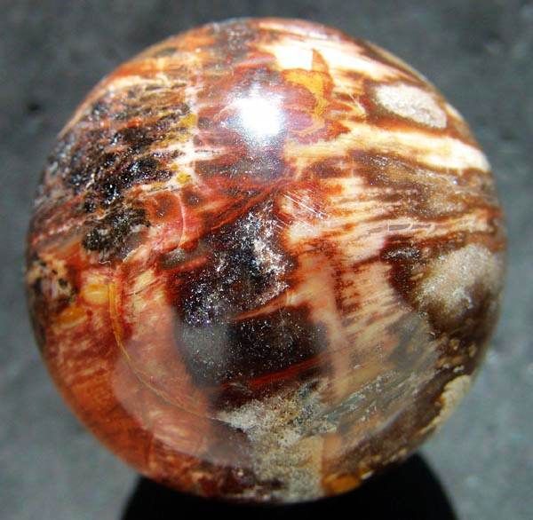 Petrified Wood Sphere steady growth, a strong body, past-life recall, patience, inner peace  4165